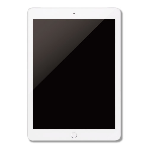 テレワーク・オンライン研修向け iPad(第6,7世代)Wi-Fiモデル 商品写真